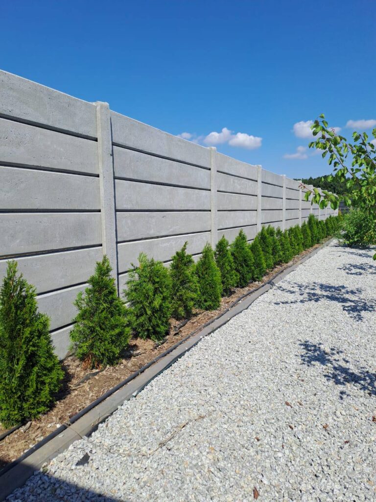 539271278 122098277216996341 6310956726357253179 n